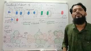 Enzyme Regulation Part4 a [upl. by Carmelle]