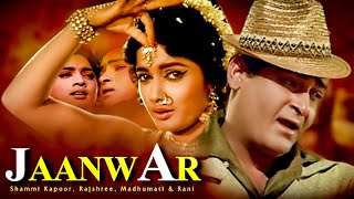 JANWAR  1965  Shammi Kapoor Super Hit Musical Romantic Movie  Full HD Movie [upl. by Magnus507]