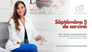 Săptămâna 5 de sarcină I Dr Amira Moldoveanu I Femmeboutiquemedicalcom [upl. by Sparks78]