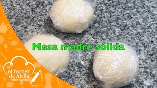 Masa Madre Sólida [upl. by Niasuh]