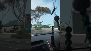 Uber  part 2 Kommetjie CapeTown SA [upl. by Anirol]