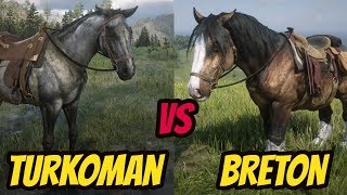 Turkoman VS Breton  BEST HORSE  Red Dead Redemption 2 [upl. by Christye]