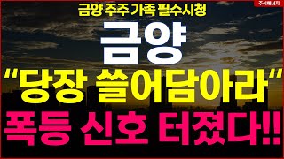 금양 quot당장 쓸어담아라 폭등 신호 터졌다quot 금양 주주 가족 필수시청 [upl. by Notniuq]