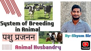 System of Breeding InbreedingOut BreedingAnimal husbandryagriknowledgeShyam Sir [upl. by Nowtna665]