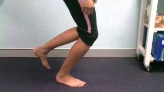 17 Physiotherapy North Sydney Patella Tendon Injury Exercise [upl. by Ramu]