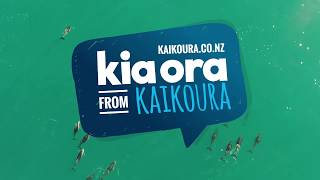 Destination Kaikoura in 90 secs [upl. by Gretal486]