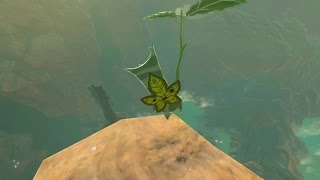 Zelda Breath of the Wild  Korok Seeds  Eldin Tower Region [upl. by Ariamat639]