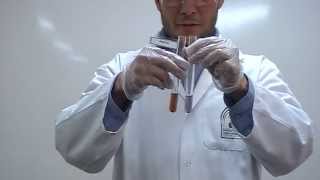 Sakaguchi test Part 2 Identification of Amino Acids Arginine [upl. by Ayenet]