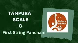 Tanpura C [upl. by Dihahs]