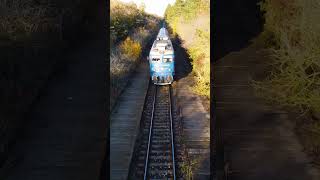 Train CFR Regio 8389 Constanta Mangalia  black sea  trainspotting  diesel locomotive [upl. by Zeculon]