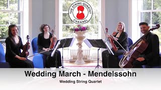 Wedding March composed by Felix Mendelssohn  Wedding String Quartet [upl. by Rehpotsirahc420]