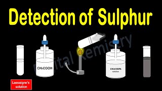 11  Organic  Unit  142  Detection Of Foreign Element  2 Marks Short Question NEB Exam  11 [upl. by Omar]