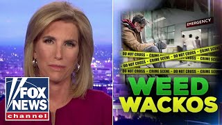 Ingraham This is heartbreaking and infuriating [upl. by Zebaj832]