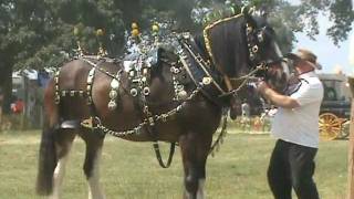 HEAVY HORSE PARADE Inc SUFFOLK PUNCH BROMYARD GALA 2011 [upl. by Zeitler995]