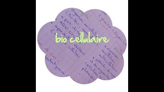 Cours biologie cellulaire partie 13 les endosomes les lysosomes et les peroxysomes [upl. by Nnire326]