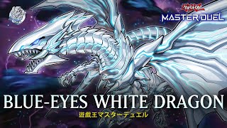 BlueEyes White Dragon  BlueEyes Alternative White Dragon  Rank Gameplay YuGiOh Master Duel [upl. by Nileuqaj]