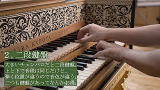 【古楽器】チェンバロの人にしか伝わらないあるある [upl. by Nylecsoj]