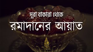 Beautiful Quran Tilawat Surah Baqarah 183187  Ayah Of Ramadan  সূরা আল বাকারা। Sheikh Masud [upl. by Amuwkuhc132]