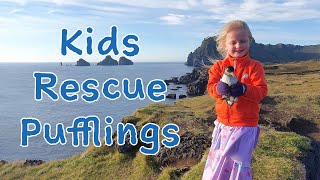 These kids rescue baby birds  The Puffling Patrol [upl. by Nikolaos]