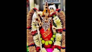 Maruthamalaiku Neenga Vanthu Parunga  Murugan devotional songs  ஈசன் ஆசிப்பெற்றவள்🙏🙏🙏  murugan [upl. by Melva460]