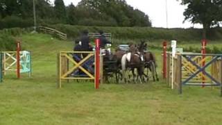 Normanhurst horse driving trials pony fourinhand Sue Skeggs [upl. by Lenahtan]