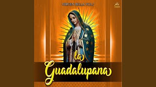 La Guadalupana [upl. by Lori713]