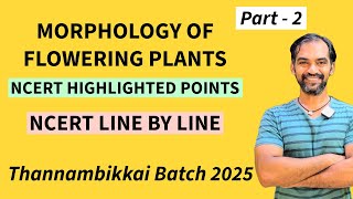 Morphology of Flowering Plants in Tamil  Part 2  TB 2025 [upl. by Aicilaanna]