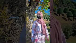 yeah tuli khanjar new kashmiri song kashmirisongs rashidhafiz shortfeed kashmirigirls status [upl. by Ylloh776]