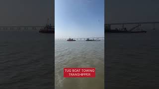 TUG BOAT TOWING TRANSHIPPER ⛴️🚢🚤 [upl. by Oicneserc665]