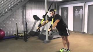 Demonstration  TRX Or Blast Strap Push Ups  Day 69 WellFit 365 [upl. by Lama]