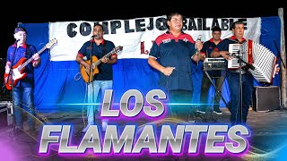 LOS FLAMANTES  1632024  COMPLEJO BAILABLE LA AMISTAD [upl. by Caron]