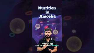 Nutrition in Amoeba Most important question for board exam science boardexam 10thclass [upl. by Boff]