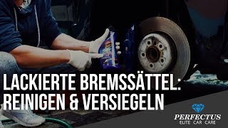 Bremssattel pflegen  Bremsanlage reinigen und versiegeln [upl. by Pasahow72]