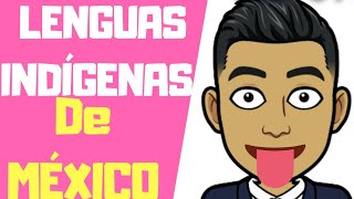 ¿CUÁLES SON LAS LENGUAS INDÍGENAS DE MÉXICO [upl. by Clovis181]