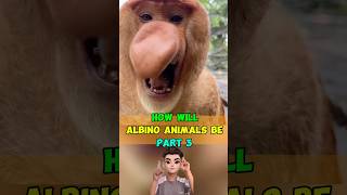 HOW WILL ALBINO ANIMALS BE P3 animals albino youtubeshorts [upl. by Dedra]