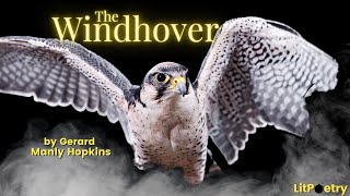 The Windhover by Gerard Manley Hopkins Poetry Analysis Video [upl. by Enitsrik]