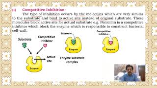 Chapter 2  First year Biology  Enzymes Part 11 Enzyme inhibition  Sindh Text Board [upl. by Korie]