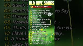 Timeless Romantic Love Songs🌹 Best Old Love Songs❤️ [upl. by Kally368]