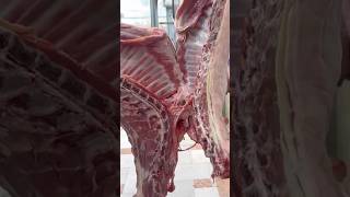 Cutting the sheep carcass in half👆 butcher akbar shorts youtubeshorts [upl. by Kehr]