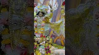 Iskcon Alachua Darshan [upl. by Sugar]