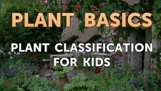 Plant Classification for Kids [upl. by Annovad]