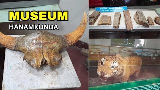 Museum inside Zoo Park hanamkonda [upl. by Letizia295]