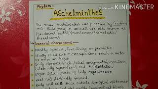 Phylum aschelminthes characters explainhindi [upl. by Case]