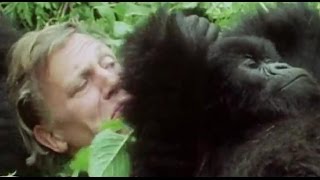 Your Favourite Sir David Attenborough Moments AttenboroughWeek  BBC Earth [upl. by Goer718]