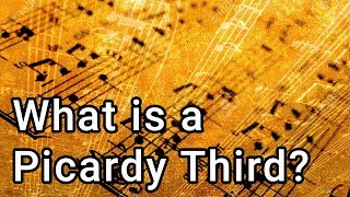 What Is a Picardy Third Music Theory Lessons Explained [upl. by Reinald27]