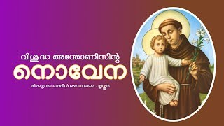 വിശുദ്ധ അന്തോണീസിന്റ നവനാൾ നൊവേന രണ്ടാം ദിവസം [upl. by Slen70]