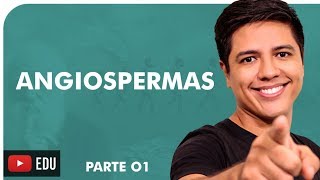 ANGIOSPERMAS  BOTÂNICA  Prof Kennedy Ramos [upl. by Nelehyram]