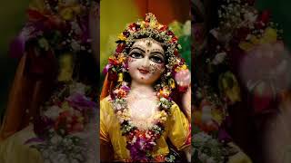 mithe ras se bharori radha rani lageðŸª·âœ¨ radhe radhe ðŸ™â™¥ï¸ radhekrishnalovers radheradhe song [upl. by Delfeena]