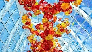 Discover the Chihuly Garden and Glass Exhibit in Seattle Washington [upl. by Ardnuahs914]