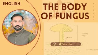 The Body Of Fungus English By Tariq Shahzad Baloch [upl. by Oly962]